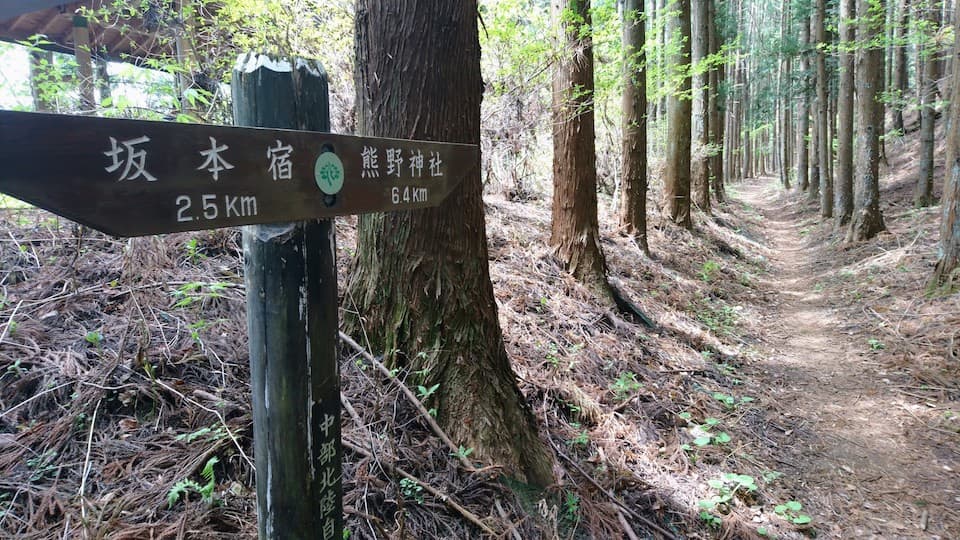 LSDと坂道トレーニングは旅ランで楽しく走れる!碓氷峠で33キロ、高度1200メートル