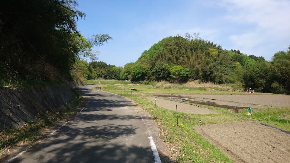田植えの風景