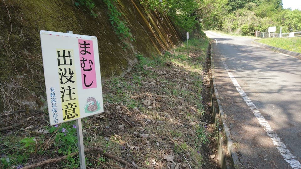 「まむし出没注意」の看板