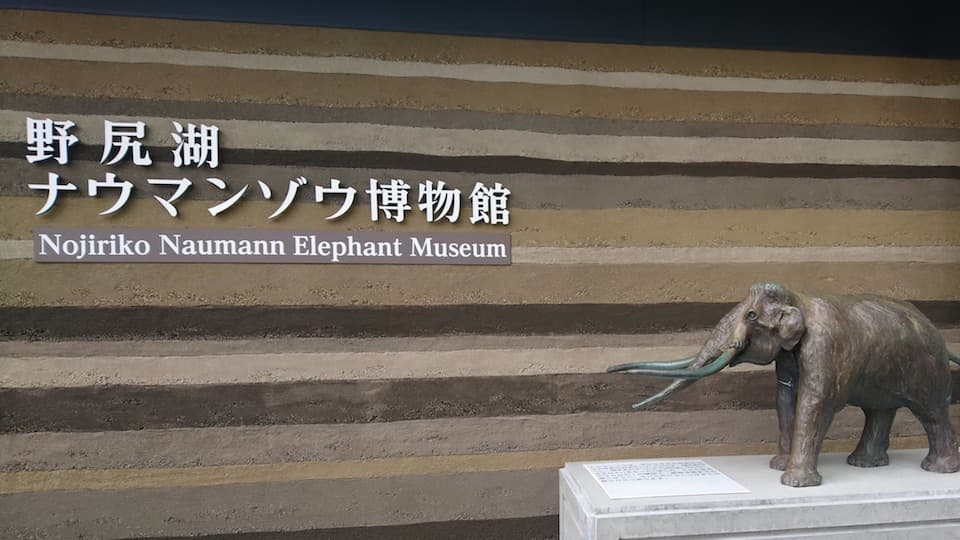 ウォータースポーツだけじゃない!野尻湖の「ナウマンゾウ博物館」が面白い|ともらん