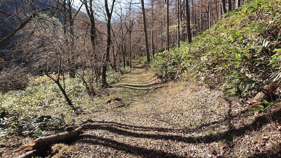 和田峠の山道