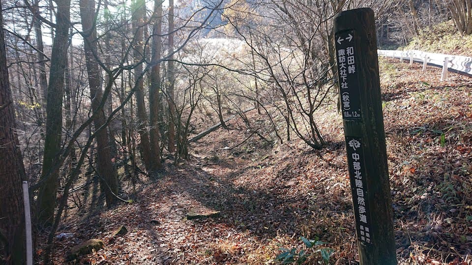 和田峠を下山