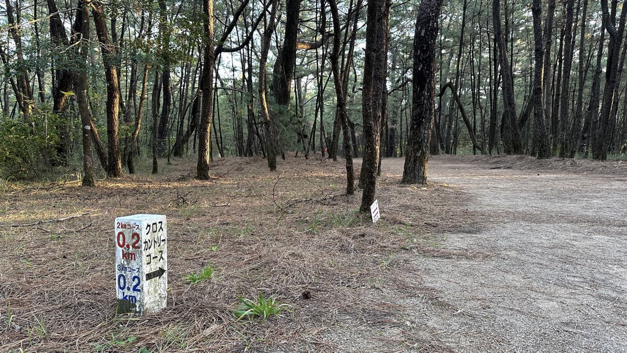 100m毎に距離表示がある地元住民が羨ましい素敵なクロカンコース