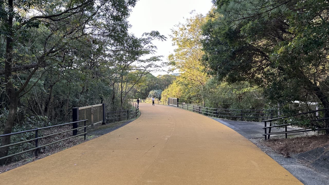 青島からノンストップで走り続けられる宮崎県総合運動公園の中へ続くゴムチップの道