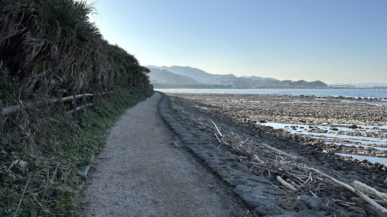 1周1kmの小さな青島の外周を散策できる青島神社の裏手