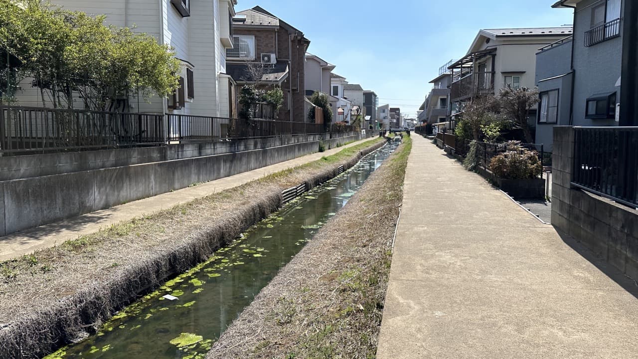 ともらん