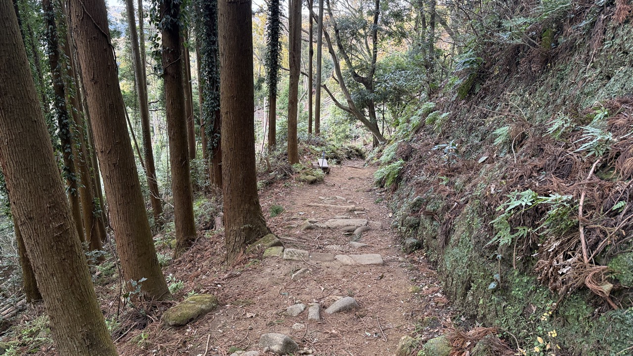 江戸時代から昭和にかけて切り出した石を手押し車で運搬するために使われていた車力道の登山道