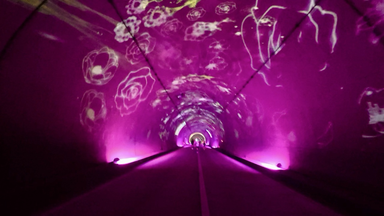 みえ松阪マラソン2025を走ってきた【フル2時間53分46秒】