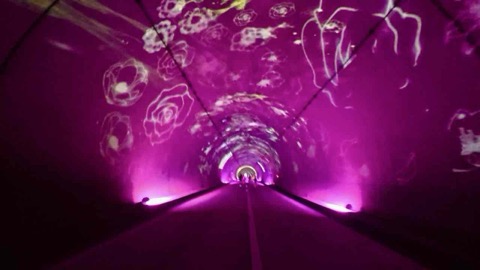 みえ松阪マラソン2025を走ってきた【フル2時間53分46秒】