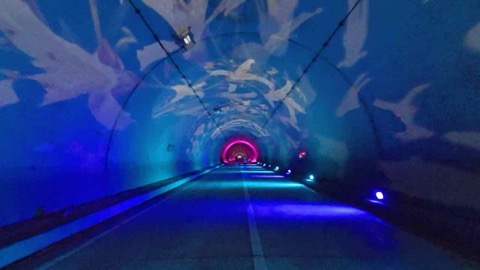 ともらん！2025年の総括【中年の危機を乗り越えて】