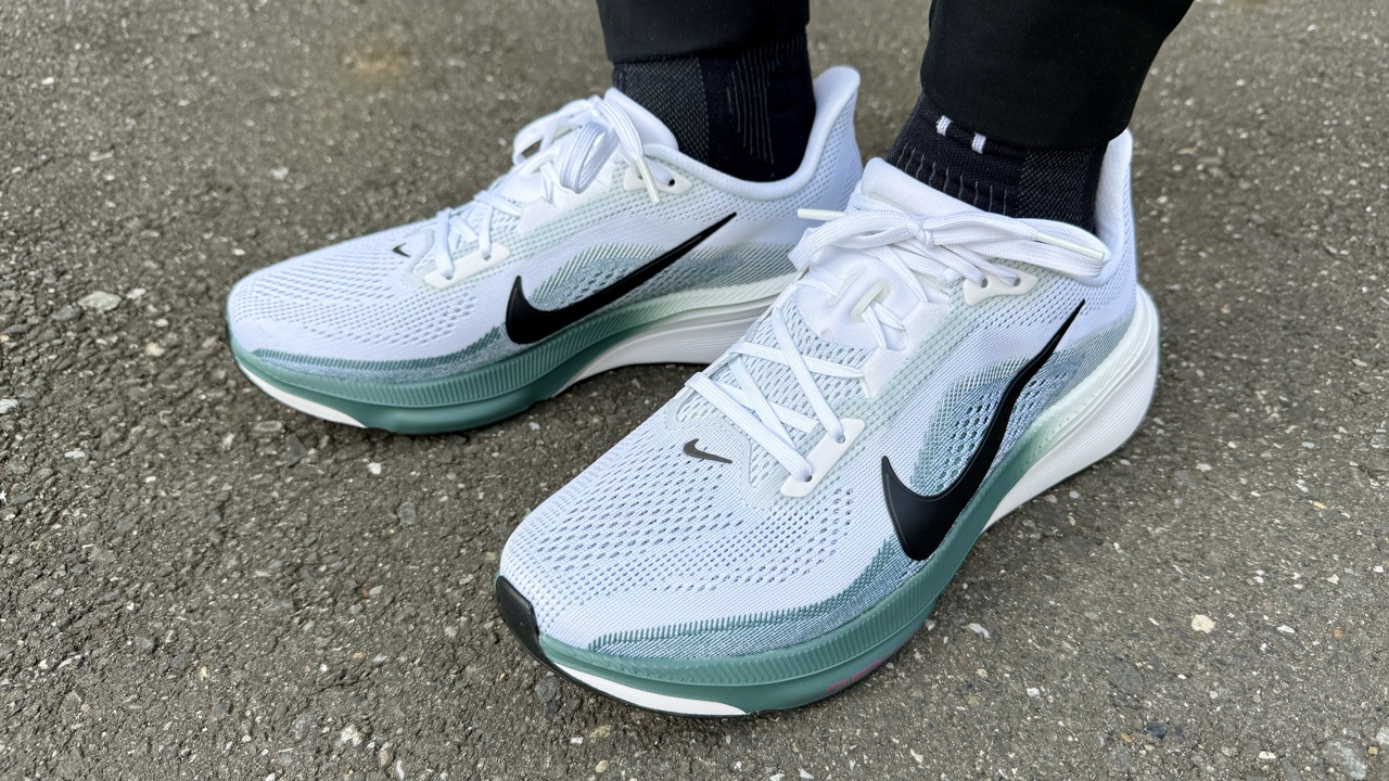 NIKE Pegasus 42 レビュー【ペガサスシリーズ最高の完成度】