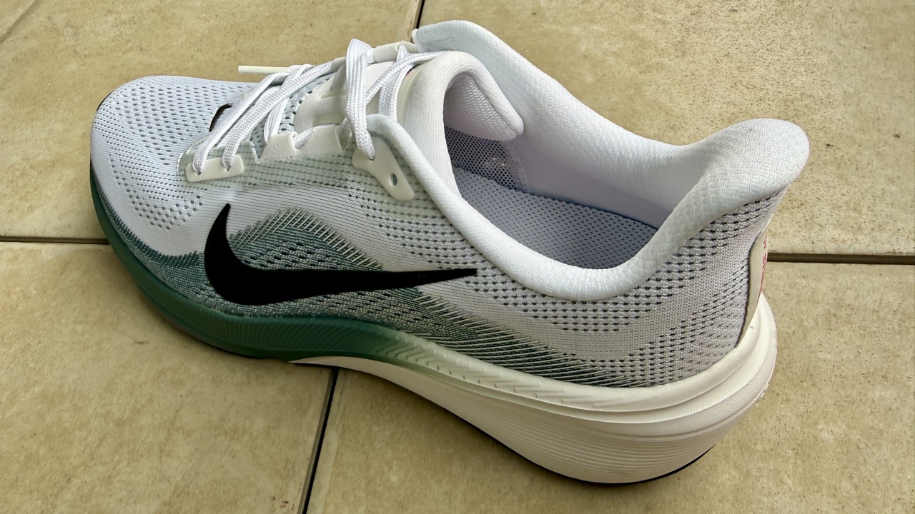 NIKE Pegasus 42 レビュー【ペガサスシリーズ最高の完成度】