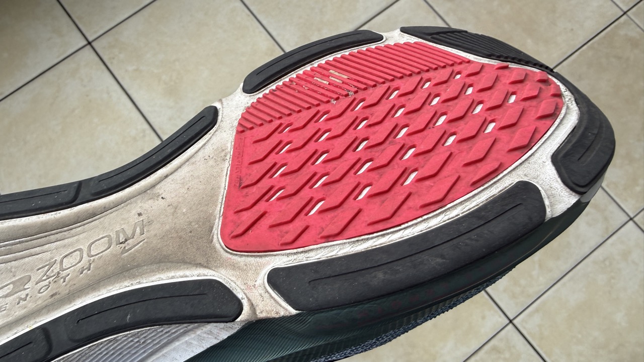 Pegasus 42の写真