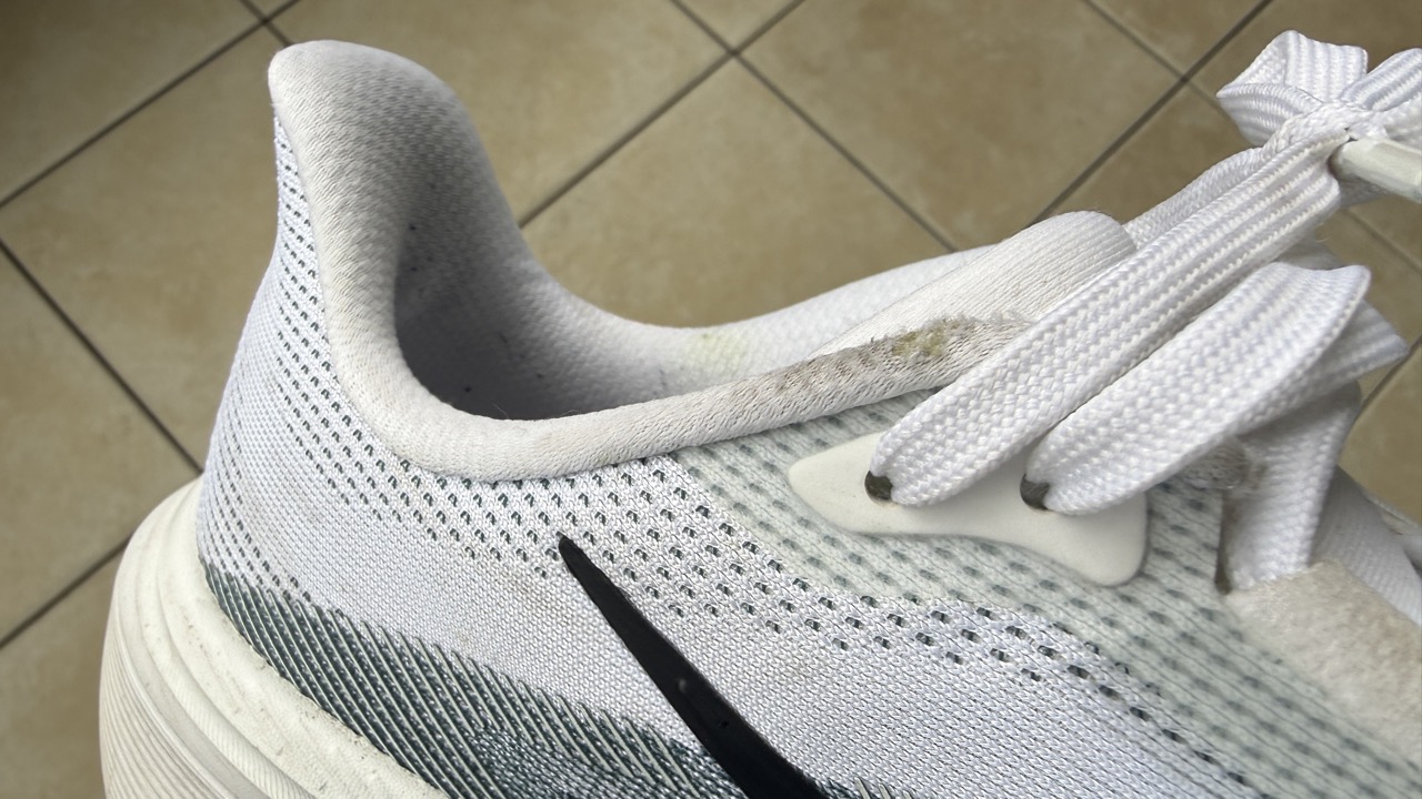 Pegasus 42の写真
