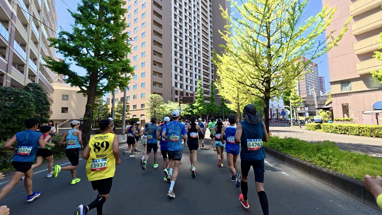仙台国際ハーフマラソンのコース