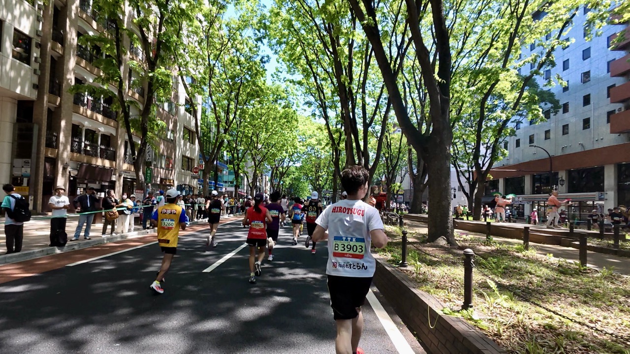 仙台国際ハーフマラソンのコース