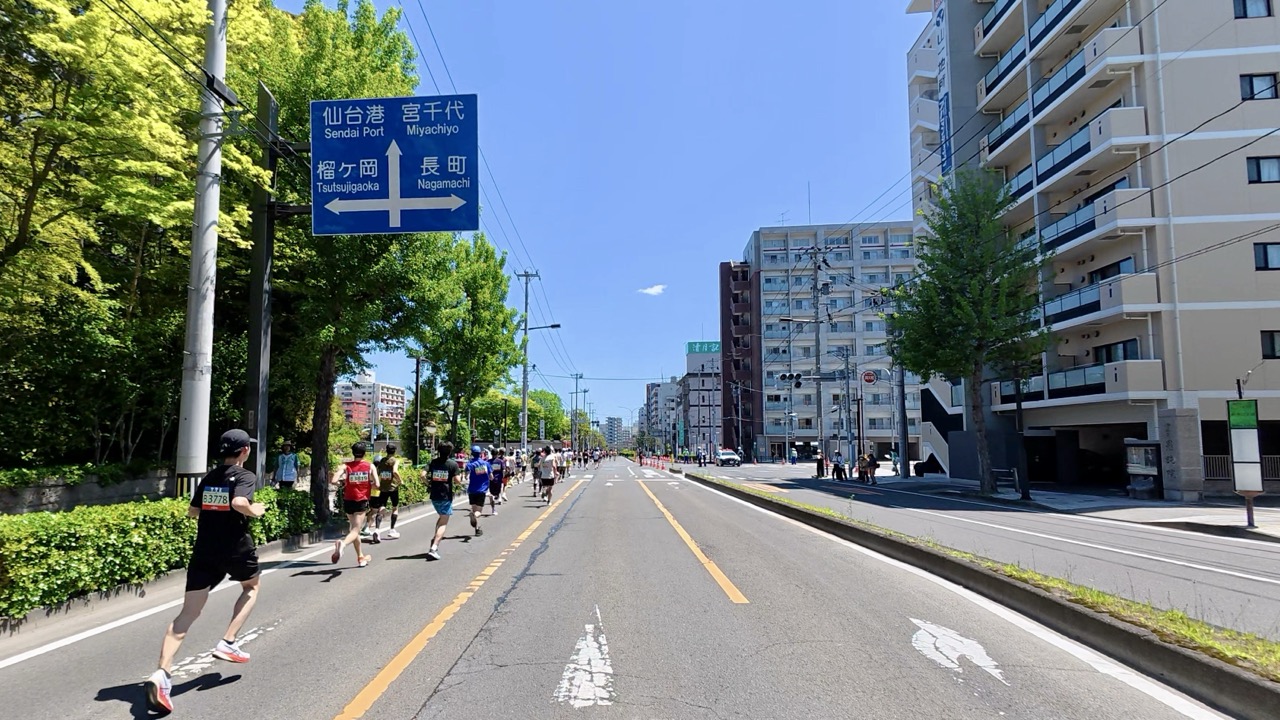 仙台国際ハーフマラソンのコース