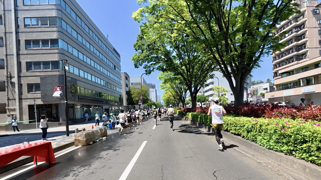 仙台国際ハーフマラソンのコース