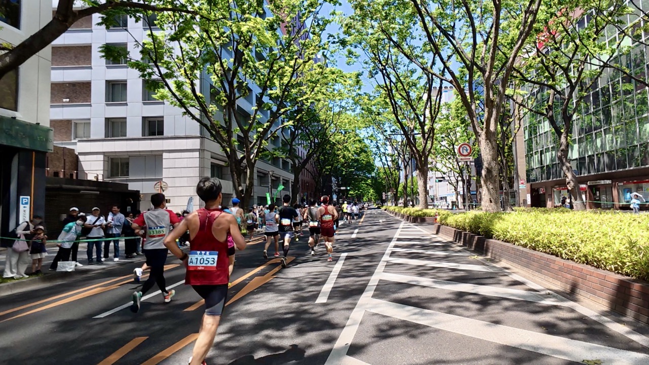 仙台国際ハーフマラソンのコース、青葉通
