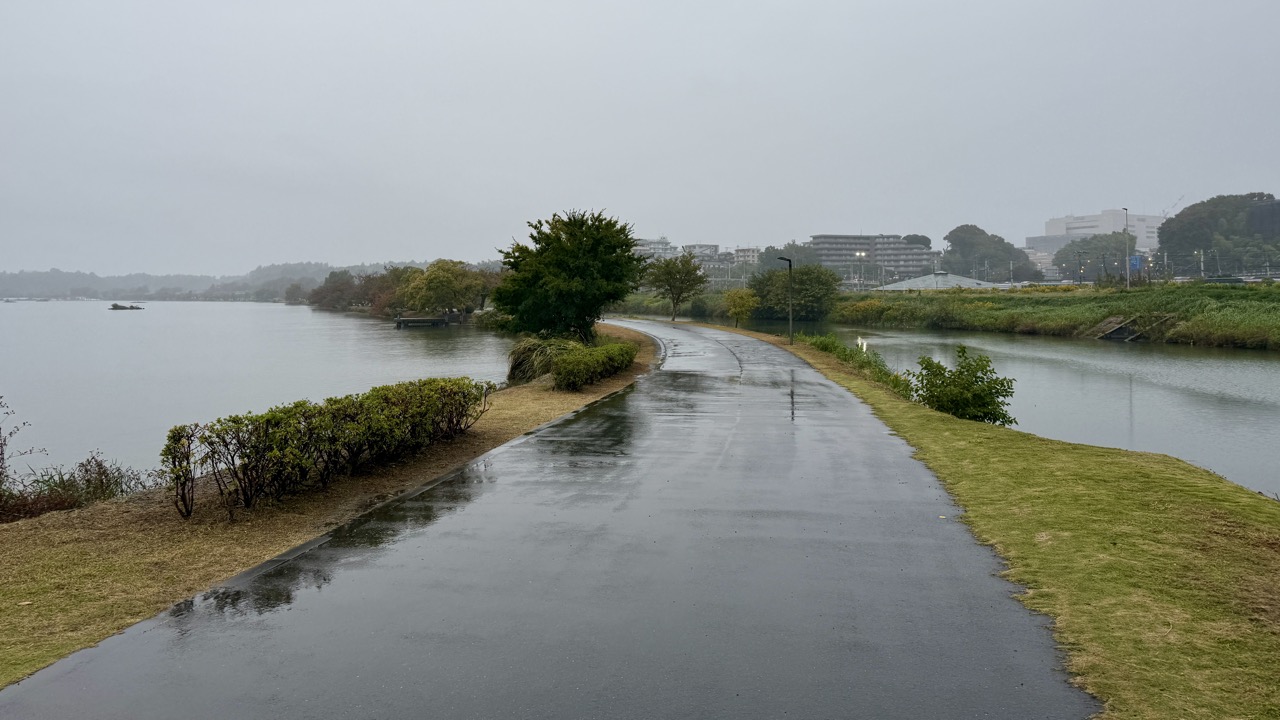 左手には千波湖、右手には桜川