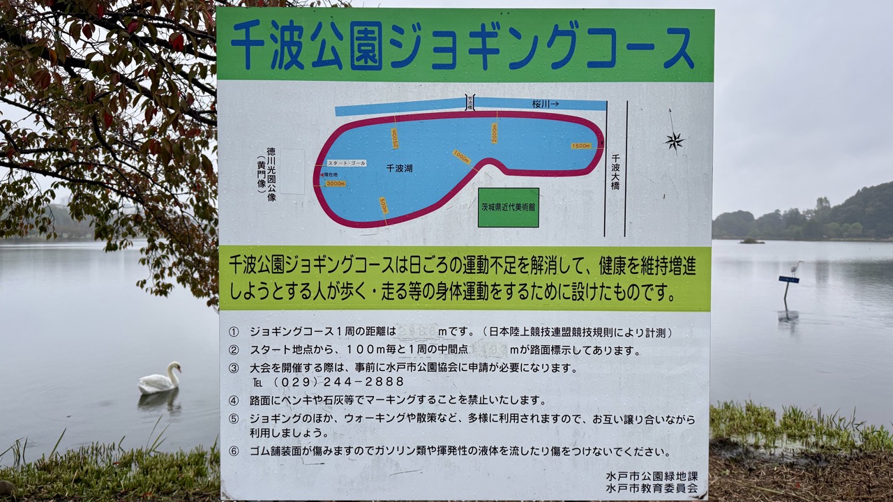 【千波湖】1周3km、水戸市の人気ランニングコースを走ってきた