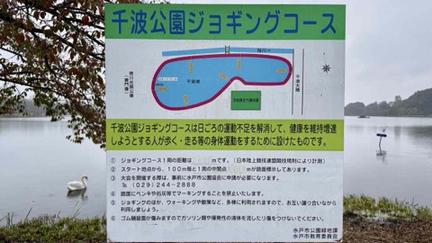 〔水戸でランニング〕千波湖を1周する3000mコース