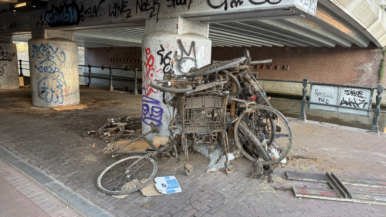 運河のゴミ